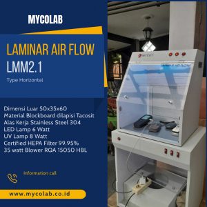 Laminar Air Flow Type LMM2.1