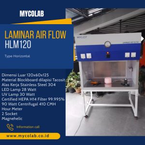Laminar Air Flow Type HLM120
