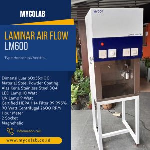 Laminar Air Flow Type LMM600